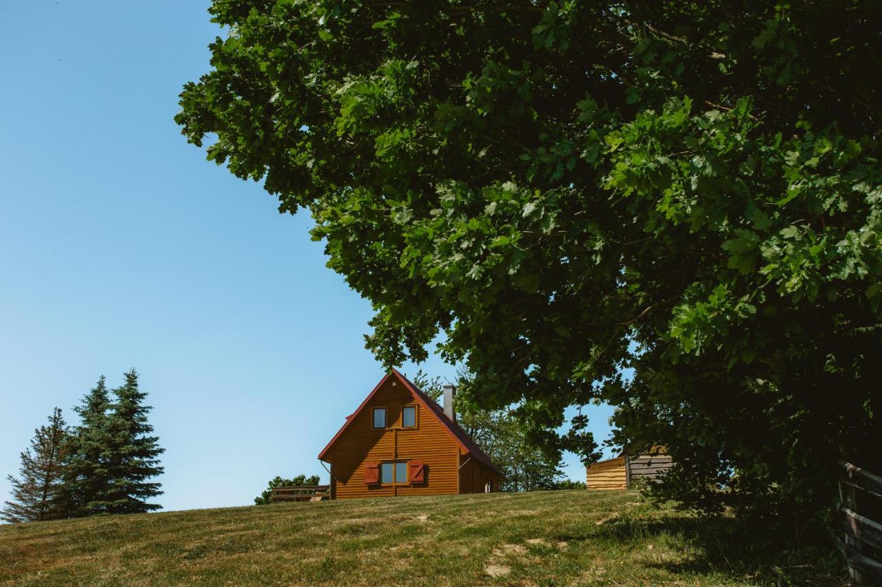 Villa Widokówka Kaszuby Mirachowo Exterior foto